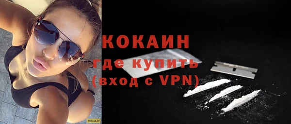 гашик Краснослободск