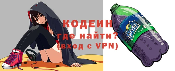 гашик Краснослободск