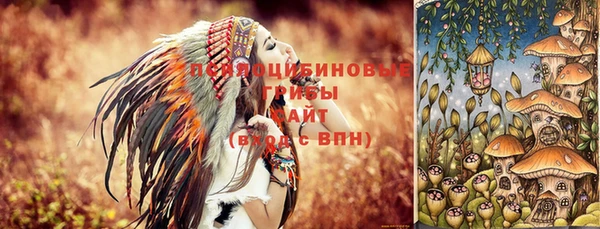 гашик Краснослободск