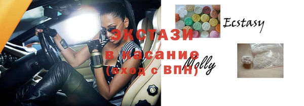 гашик Краснослободск