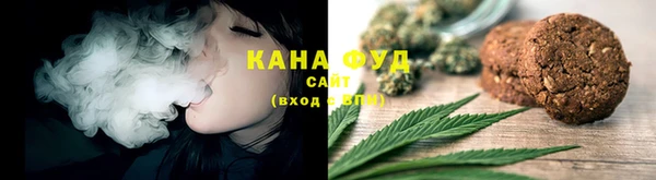 гашик Краснослободск