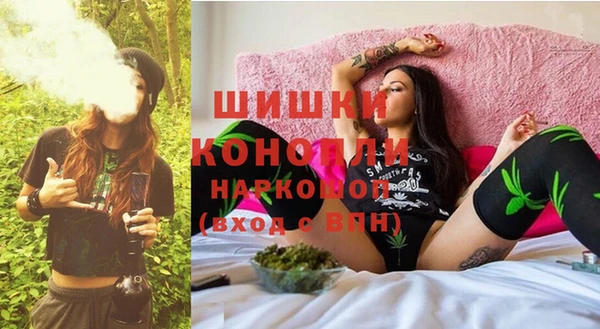 индика Красноперекопск
