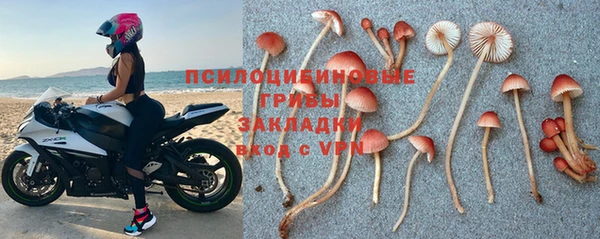 индика Красноперекопск