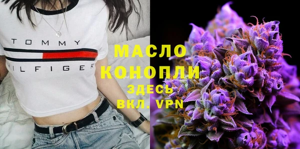 индика Красноперекопск