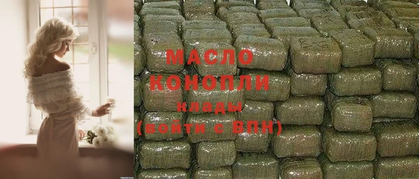 гашик Краснослободск