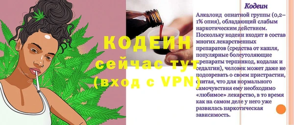 гашик Краснослободск