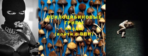 гашик Краснослободск