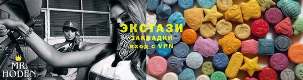 гашик Краснослободск